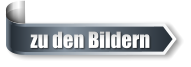 zu den Bildern