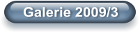 Galerie 2009/3